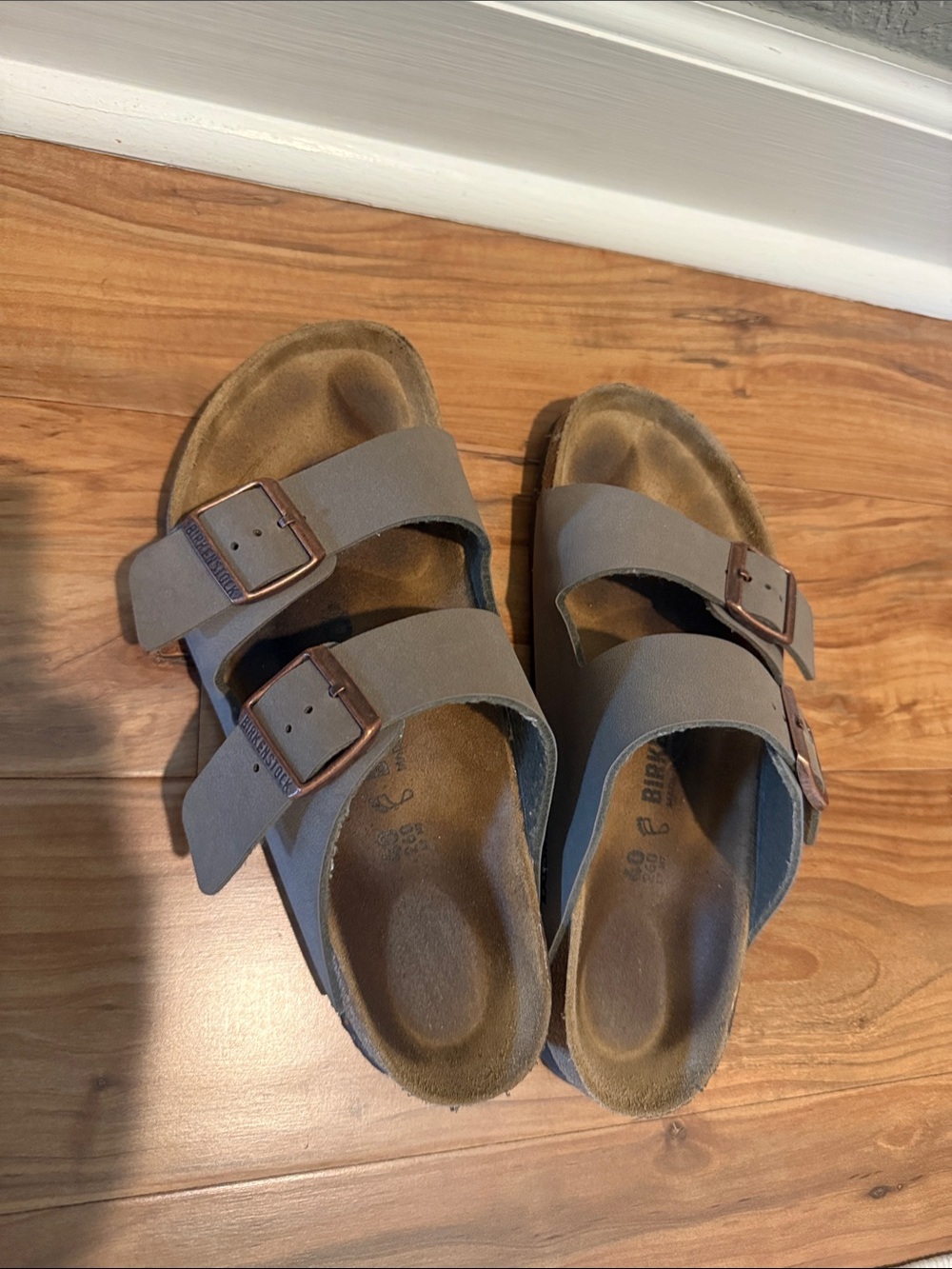 Birkenstock Two-Strap Taupe Slide Sandals with Metal Buckles